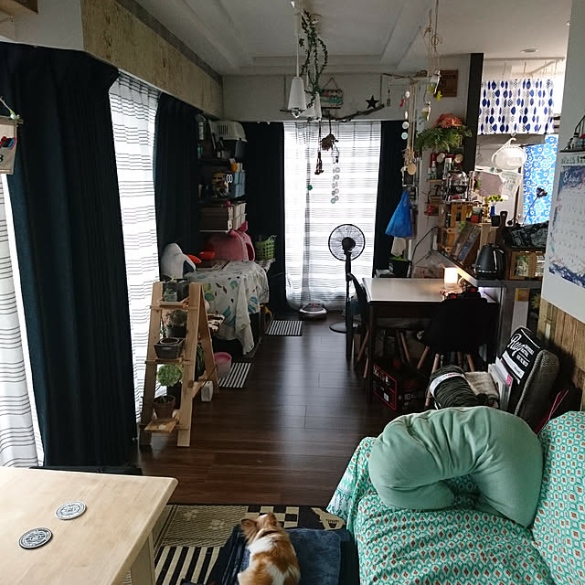 porinさんの実例写真