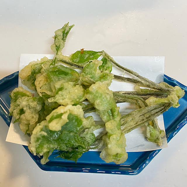 sukkorobiさんの部屋