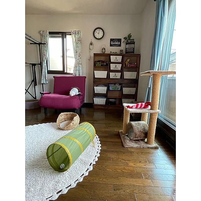 momocchiさんの部屋