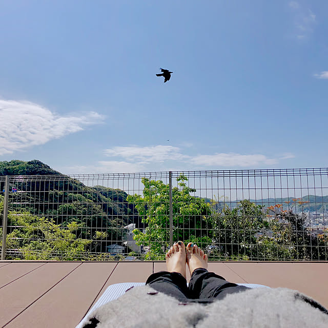somiさんの実例写真