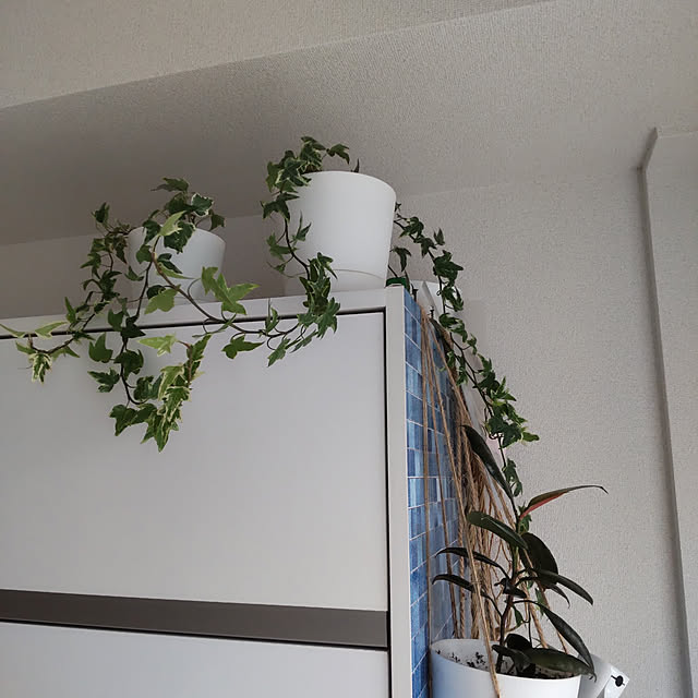 cocoさんの実例写真