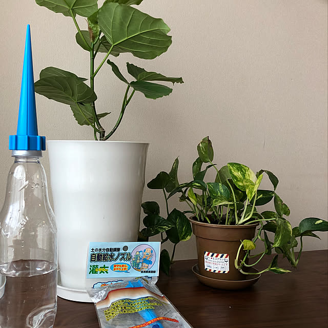troisさんの実例写真