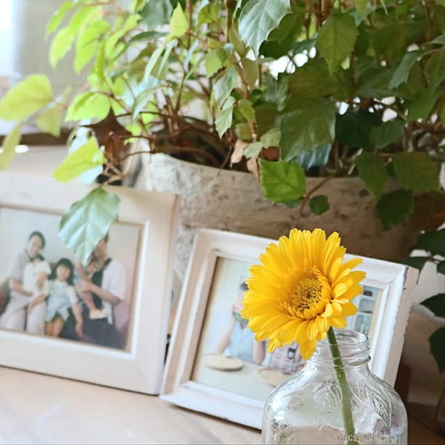 maminさんの実例写真