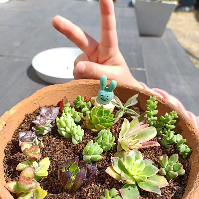 tomo5さんの実例写真
