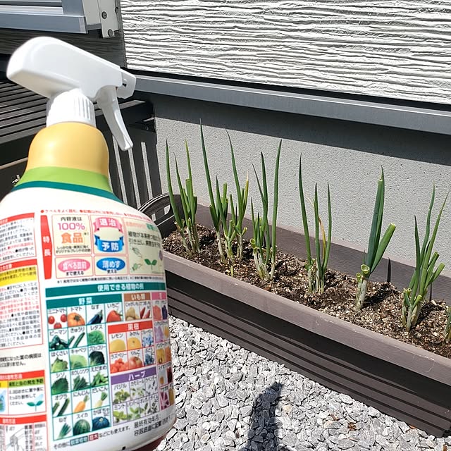 tokkiさんの部屋