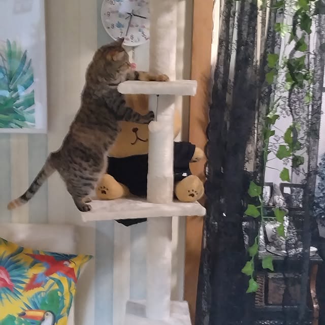 runaさんの部屋