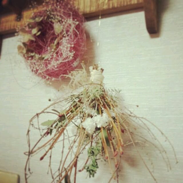 aoisora1017さんの実例写真