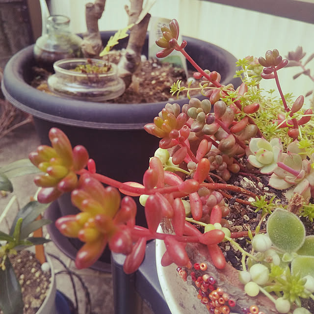 microさんの実例写真