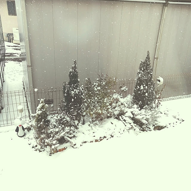 tomomiさんの実例写真