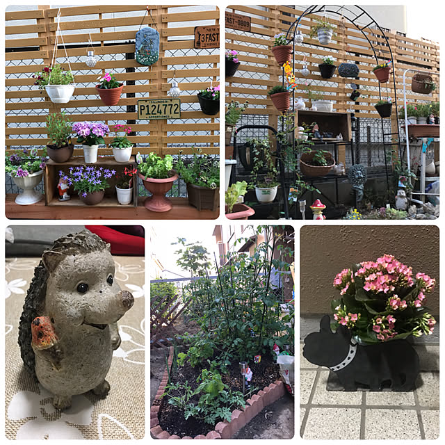 takaさんの実例写真