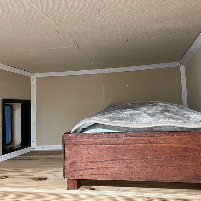 coolcats0528さんの部屋