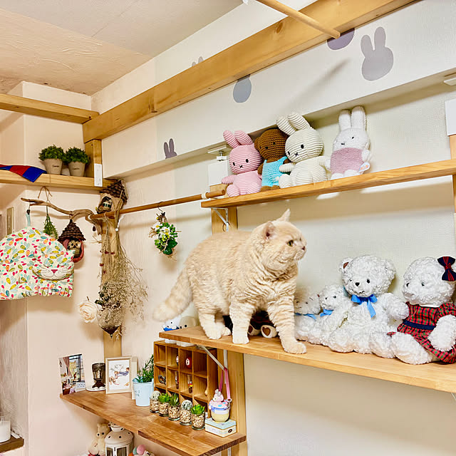 naokoさんの部屋