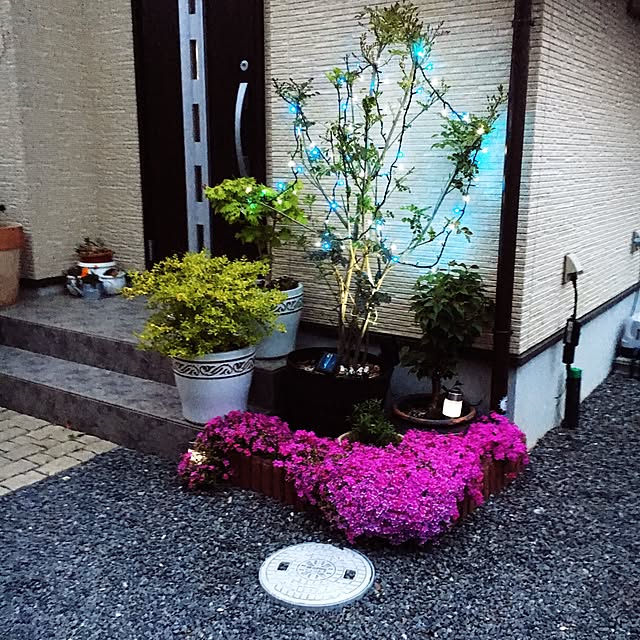 tomさんの実例写真