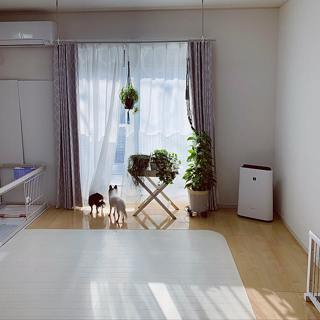 makoさんの実例写真