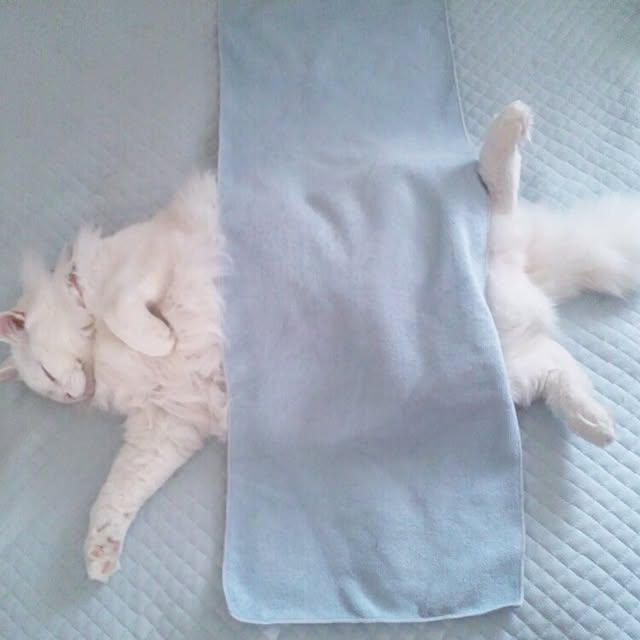 J.BOYさんの実例写真