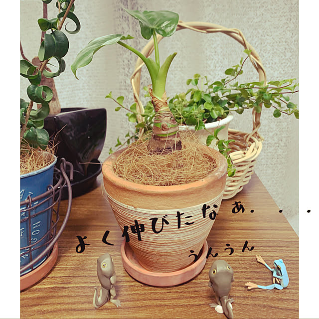 JUNさんの実例写真
