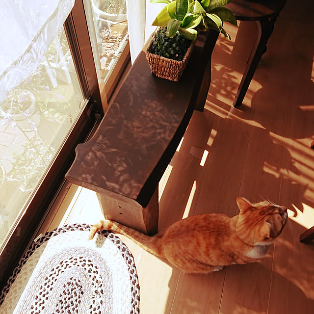 akiさんの実例写真