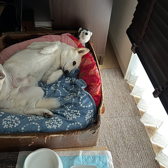 tanboさんの部屋