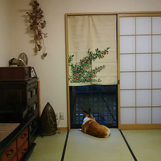 tenntennさんの実例写真