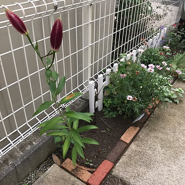 ma-chicoさんの実例写真