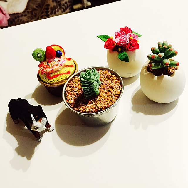 Saraさんの実例写真