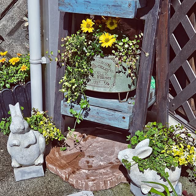 mocomocoさんの部屋