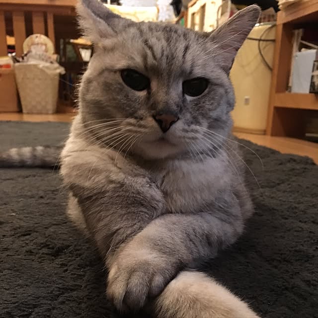 kou-kitiさんの実例写真