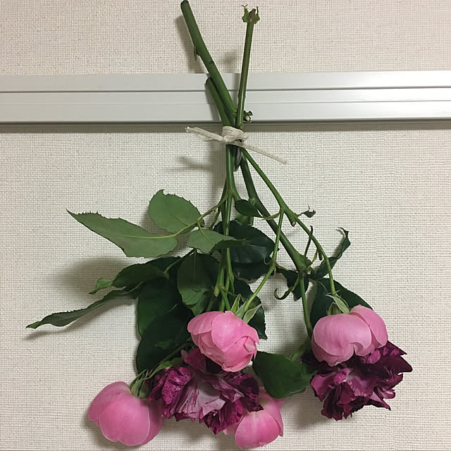 LuLuさんの実例写真