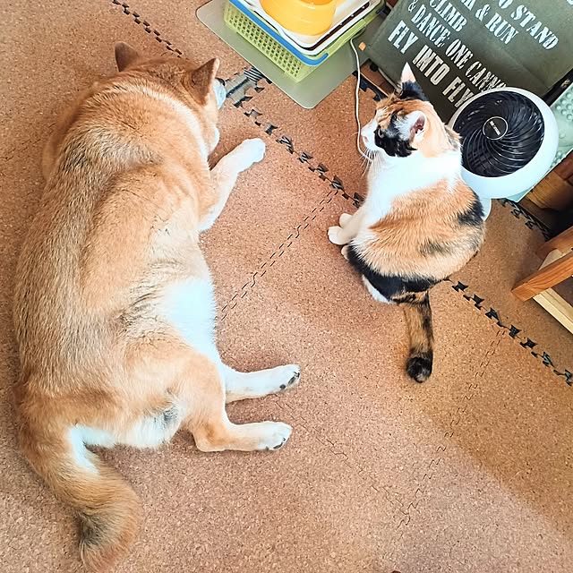 nanaさんの部屋