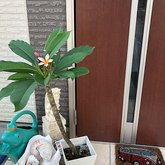 alohamamaさんの実例写真