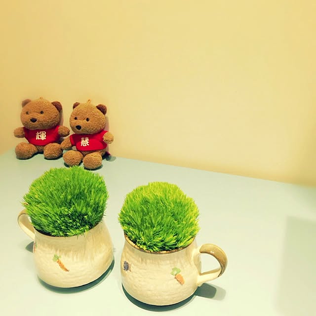 実例写真