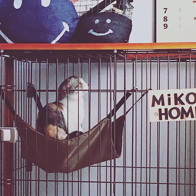 yokkochanさんの実例写真