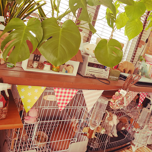 coco_spring_homeさんの実例写真