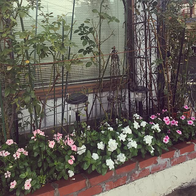 greenroseさんの実例写真