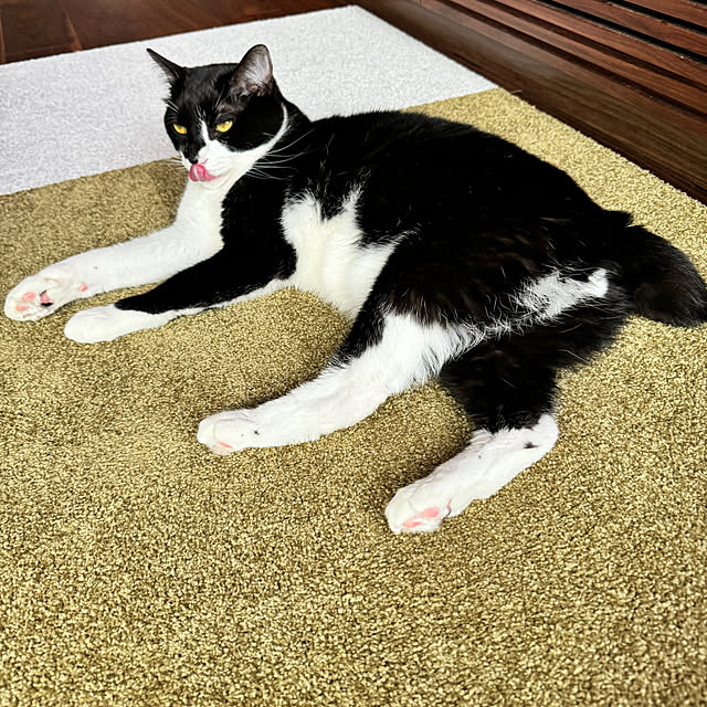 porinさんの部屋