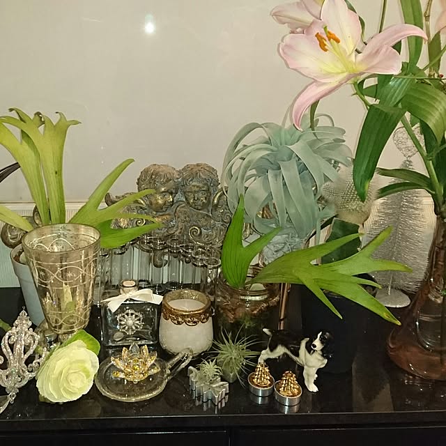 kimiさんの実例写真