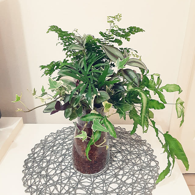 yonyonpandaさんの実例写真