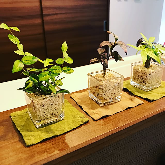s.k.m.fさんの実例写真