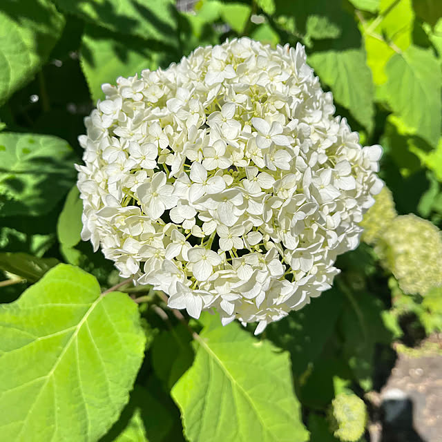 samanthakitchenさんの部屋