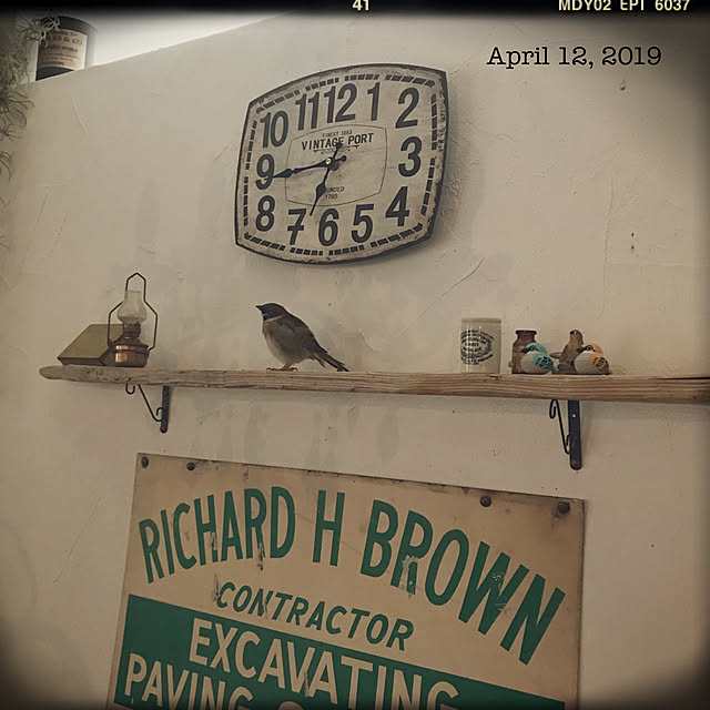 shhさんの実例写真