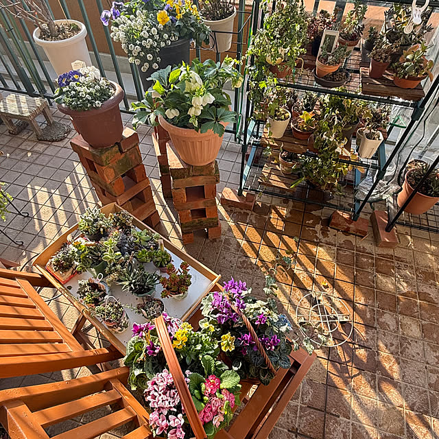 Aqettyさんの部屋