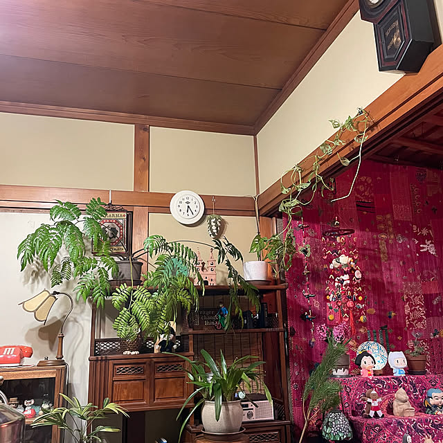shin0719さんの実例写真
