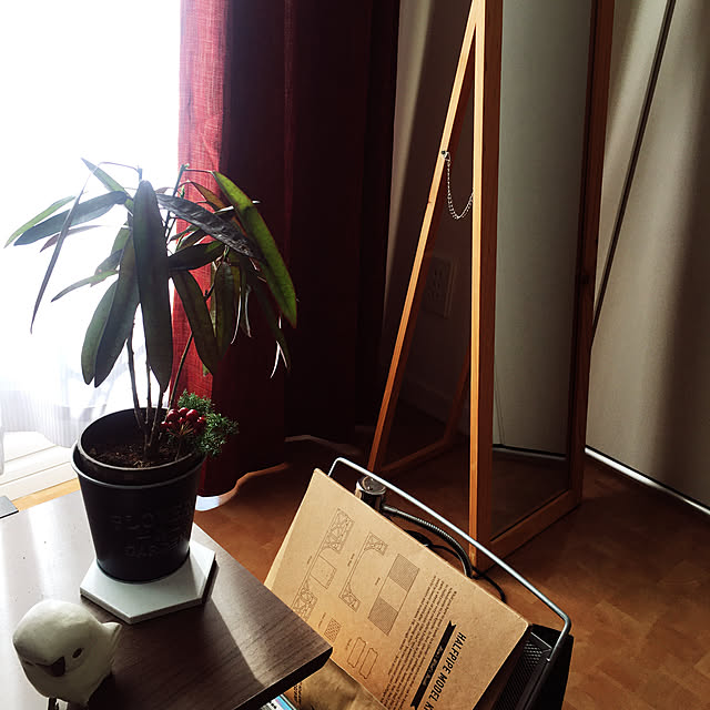 100均/雑貨/観葉植物/棚のインテリア実例 - 2020-01-11 19:59:14