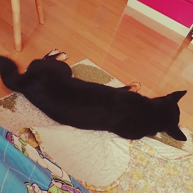 xxxakyxxxさんの実例写真