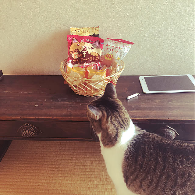 mill_0303さんの実例写真