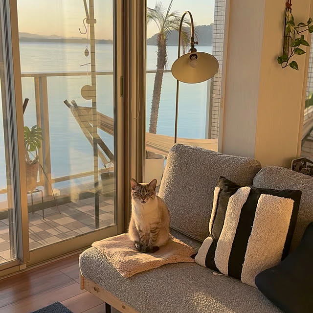 amさんの実例写真