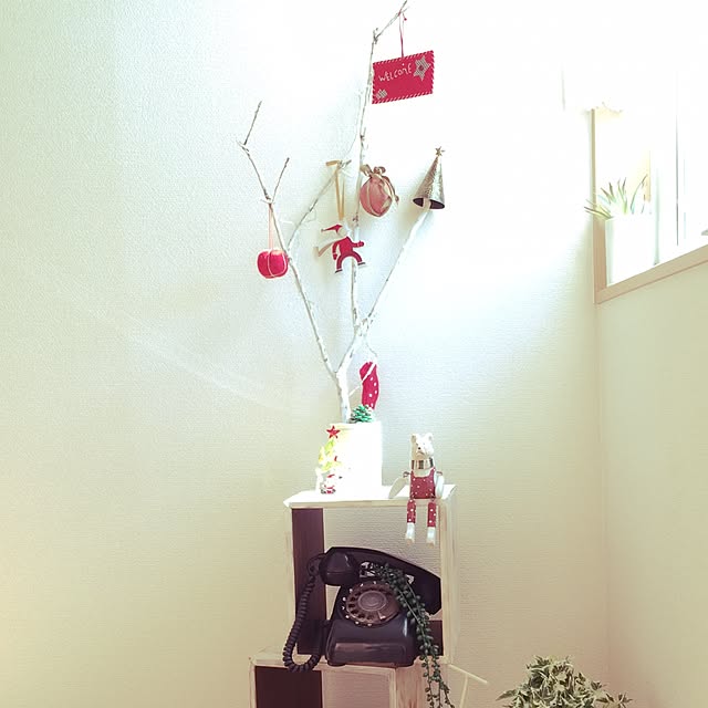 kaoさんの実例写真