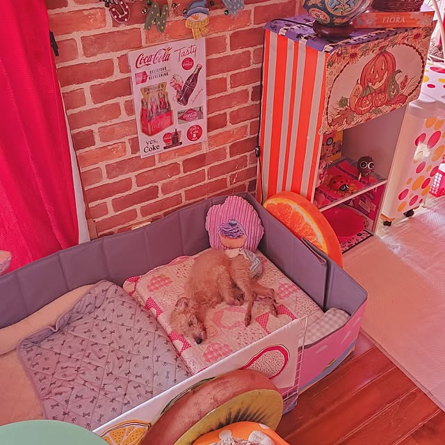 kumutanさんの部屋