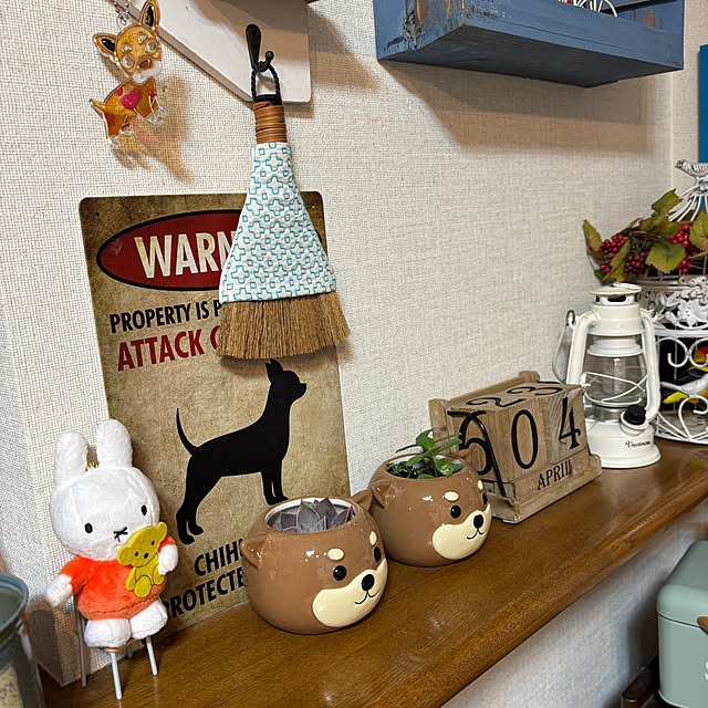 chIoeさんの部屋