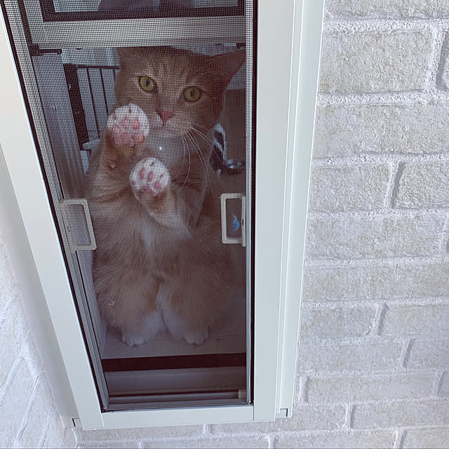 monomaさんの実例写真